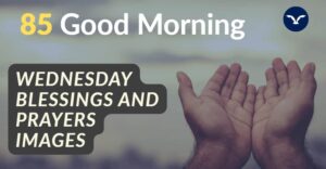 Read more about the article 85 Beautiful Good Morning Wednesday Blessings And Prayers Quotes