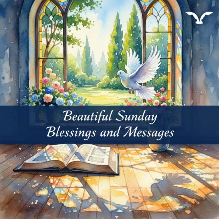scene of a stained glass window overlooking a garden, with a dove flying. An open Bible rests on a sunlit floor.